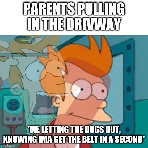 Oh No | PARENTS PULLING IN THE DRIVWAY; *ME LETTING THE DOGS OUT, KNOWING IMA GET THE BELT IN A SECOND* | image tagged in fry | made w/ Imgflip meme maker
