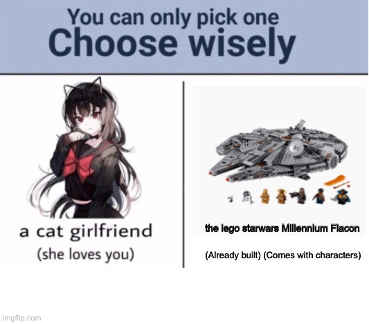 Choose wisely | the lego starwars Millennium Flacon; (Already built) (Comes with characters) | image tagged in choose wisely | made w/ Imgflip meme maker