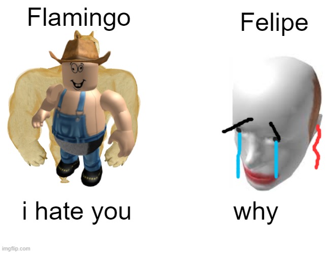 Flamingo Hates Felipe | Flamingo; Felipe; i hate you; why | image tagged in flamingo,youtube,hate,felipe | made w/ Imgflip meme maker