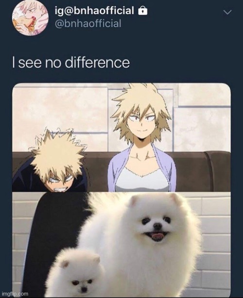 no diffrence | made w/ Imgflip meme maker