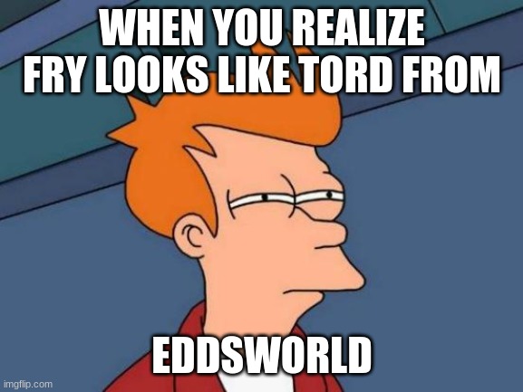 Futurama Fry Meme | WHEN YOU REALIZE FRY LOOKS LIKE TORD FROM; EDDSWORLD | image tagged in memes,futurama fry | made w/ Imgflip meme maker