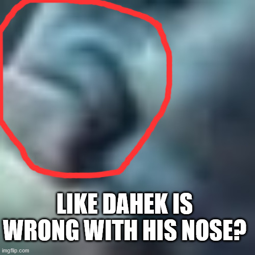 LIKE DAHEK IS WRONG WITH HIS NOSE? | made w/ Imgflip meme maker