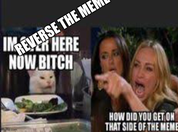 REVERSE THE MEME | image tagged in funny memes | made w/ Imgflip meme maker