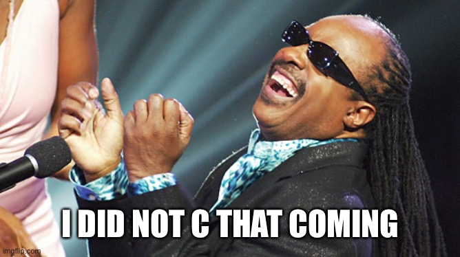 Stevie Wonder Laughing | I DID NOT C THAT COMING | image tagged in stevie wonder laughing | made w/ Imgflip meme maker