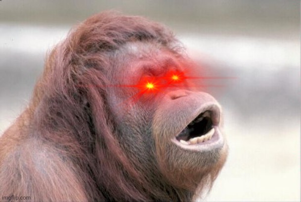 Monkey OOH Meme | image tagged in memes,monkey ooh | made w/ Imgflip meme maker