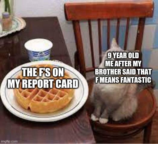 bad grades | 9 YEAR OLD ME AFTER MY BROTHER SAID THAT F MEANS FANTASTIC; THE F'S ON MY REPORT CARD | image tagged in cat with waffles | made w/ Imgflip meme maker