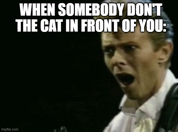 Don't the cat: Respect the rule | WHEN SOMEBODY DON'T THE CAT IN FRONT OF YOU: | image tagged in offended david bowie | made w/ Imgflip meme maker