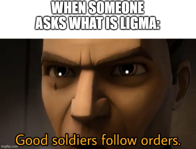 DEWIT | WHEN SOMEONE ASKS WHAT IS LIGMA: | image tagged in good soldiers follow orders | made w/ Imgflip meme maker