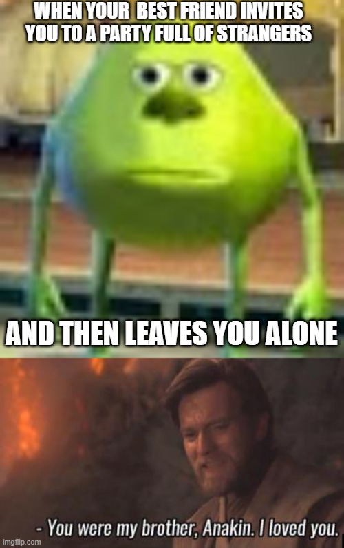 WHEN YOUR  BEST FRIEND INVITES YOU TO A PARTY FULL OF STRANGERS; AND THEN LEAVES YOU ALONE | image tagged in sully wazowski,you were my brother anakin i loved you | made w/ Imgflip meme maker