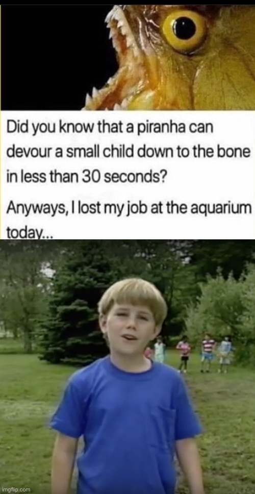 oh no | image tagged in kazoo kid wait a minute who are you,piranha,acquarium,funny,fired | made w/ Imgflip meme maker