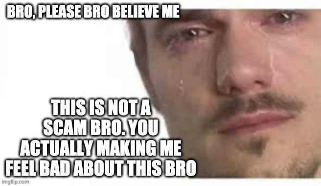 Bro Please Bro | BRO, PLEASE BRO BELIEVE ME; THIS IS NOT A SCAM BRO. YOU ACTUALLY MAKING ME FEEL BAD ABOUT THIS BRO | image tagged in bro please bro | made w/ Imgflip meme maker