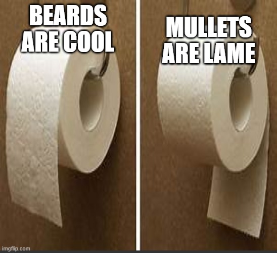 over or under |  MULLETS ARE LAME; BEARDS ARE COOL | image tagged in toilet paper,beard,cool,mullet,lame | made w/ Imgflip meme maker