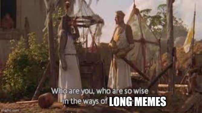 To the guy who makes those long memes |  LONG MEMES | image tagged in who are you who are so wise in the ways of science,memes,funny memes,monty python and the holy grail,funny | made w/ Imgflip meme maker