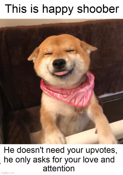 Here, have a good boi | image tagged in doggo | made w/ Imgflip meme maker