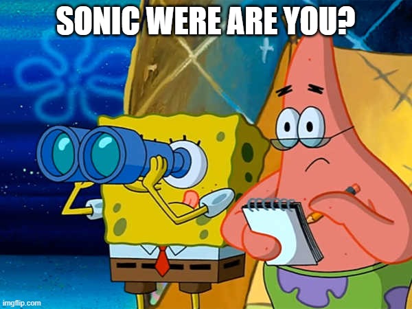 Spy | SONIC WERE ARE YOU? | image tagged in spy | made w/ Imgflip meme maker