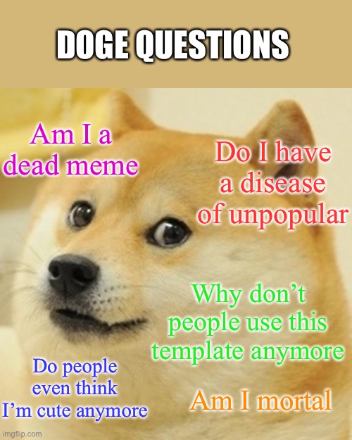 Doge questions | DOGE QUESTIONS; Am I a dead meme; Do I have a disease of unpopular; Why don’t people use this template anymore; Do people even think I’m cute anymore; Am I mortal | image tagged in memes,doge | made w/ Imgflip meme maker