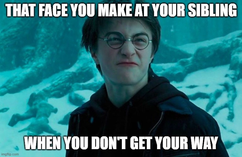 Siblings | THAT FACE YOU MAKE AT YOUR SIBLING; WHEN YOU DON'T GET YOUR WAY | image tagged in harry potter | made w/ Imgflip meme maker