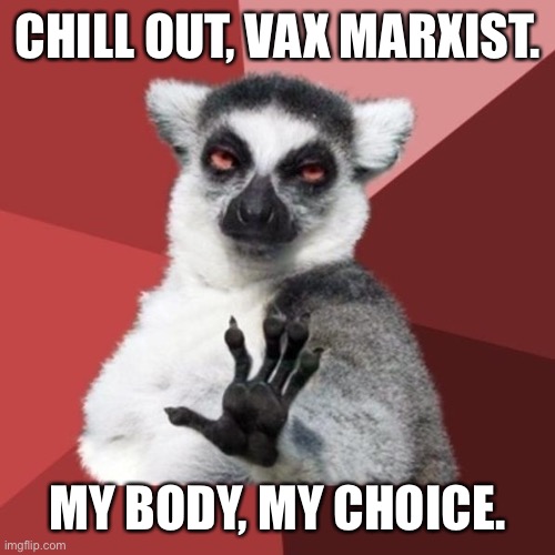 Vax Marxist | CHILL OUT, VAX MARXIST. MY BODY, MY CHOICE. | image tagged in memes,chill out lemur,marxism,covid,drugs,choice | made w/ Imgflip meme maker