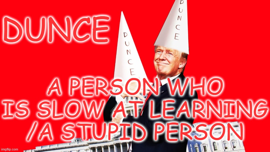 DUNCE | DUNCE; A PERSON WHO IS SLOW AT LEARNING /A STUPID PERSON | image tagged in dunce,slow,stupid,trump,idiot,dumb | made w/ Imgflip meme maker