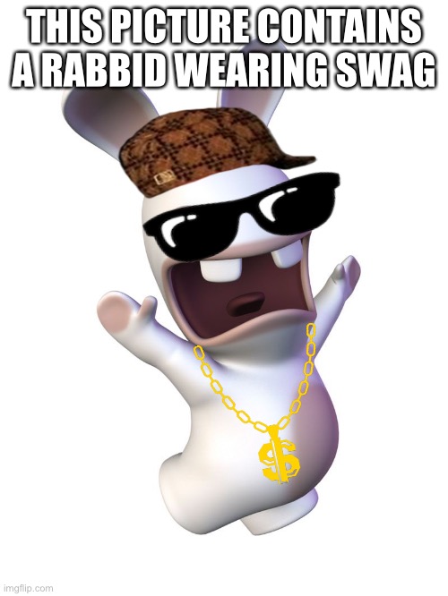 Rabbid | THIS PICTURE CONTAINS A RABBID WEARING SWAG | image tagged in rabbid | made w/ Imgflip meme maker
