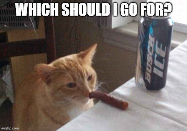 cat | WHICH SHOULD I GO FOR? | image tagged in cat | made w/ Imgflip meme maker
