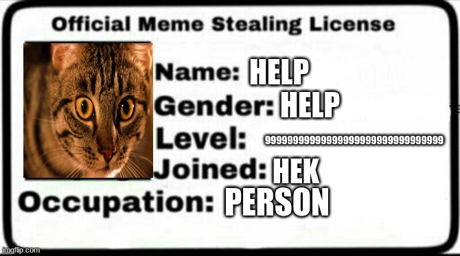 License | HELP; HELP; 99999999999999999999999999999999; HEK; PERSON | image tagged in meme stealing license | made w/ Imgflip meme maker