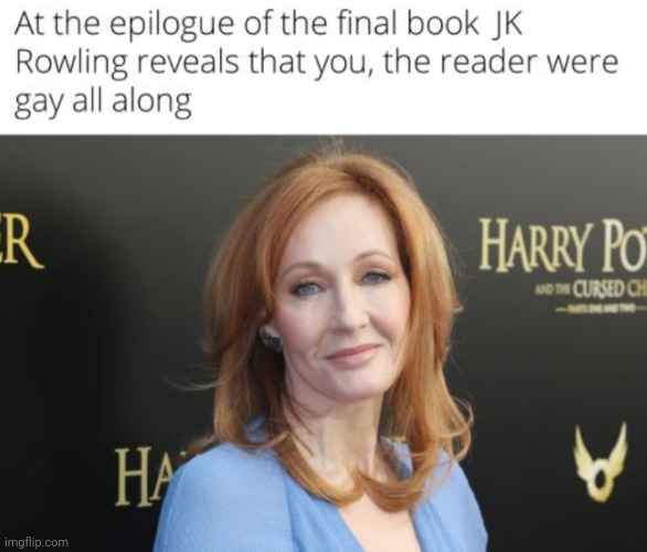 image tagged in funny memes | made w/ Imgflip meme maker