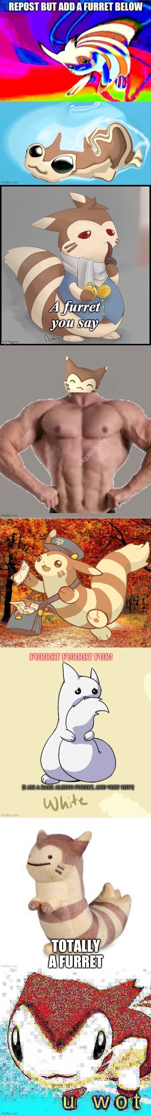 Somehow my Furret didn’t get included in this chain (looking at you, RMK). So, u wot | image tagged in u wot furret | made w/ Imgflip meme maker