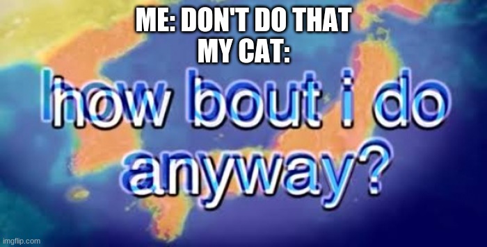 How bout i do anyway | ME: DON'T DO THAT
MY CAT: | image tagged in how bout i do anyway | made w/ Imgflip meme maker