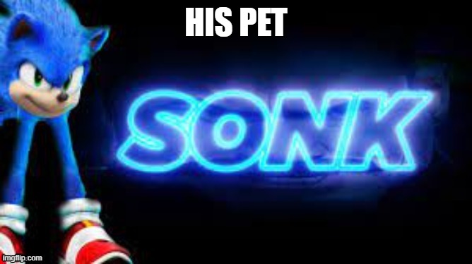 sonk | HIS PET | image tagged in sonk | made w/ Imgflip meme maker