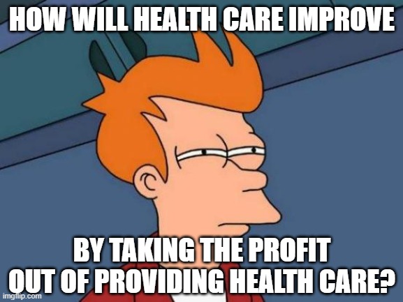 Health Care Profit | HOW WILL HEALTH CARE IMPROVE; BY TAKING THE PROFIT OUT OF PROVIDING HEALTH CARE? | image tagged in memes,futurama fry,healthcare,health insurance,communism and capitalism,health | made w/ Imgflip meme maker