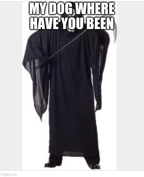Grimm Reaper | MY DOG WHERE HAVE YOU BEEN | image tagged in grimm reaper | made w/ Imgflip meme maker