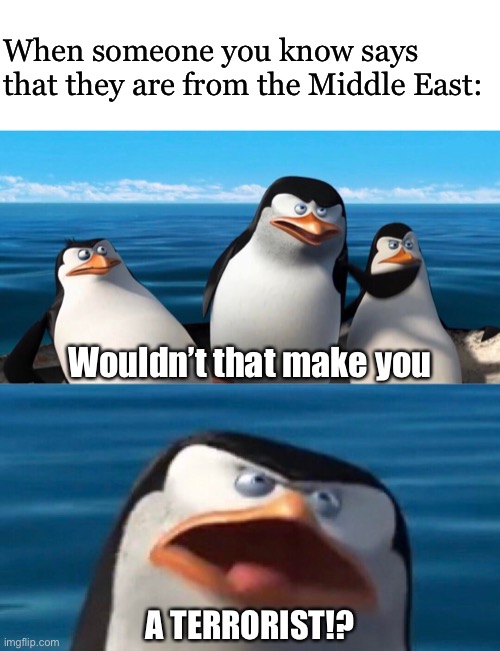 Skipper Finds a Terrorist | When someone you know says that they are from the Middle East:; Wouldn’t that make you; A TERRORIST!? | image tagged in wouldnt that make you,penguins of madagascar,muslims,memes,terrorism | made w/ Imgflip meme maker