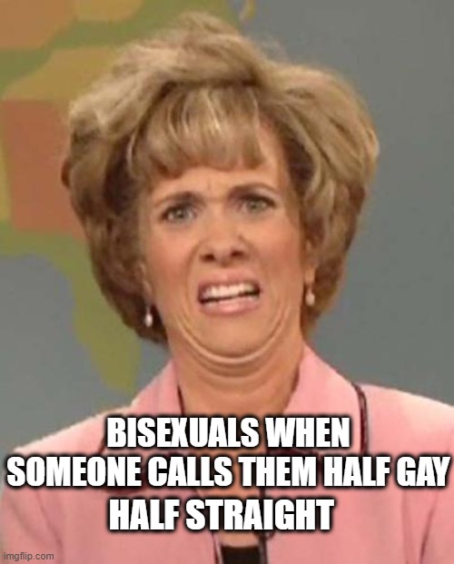 Disgusted Kristin Wiig |  BISEXUALS WHEN SOMEONE CALLS THEM HALF GAY; HALF STRAIGHT | image tagged in disgusted kristin wiig | made w/ Imgflip meme maker