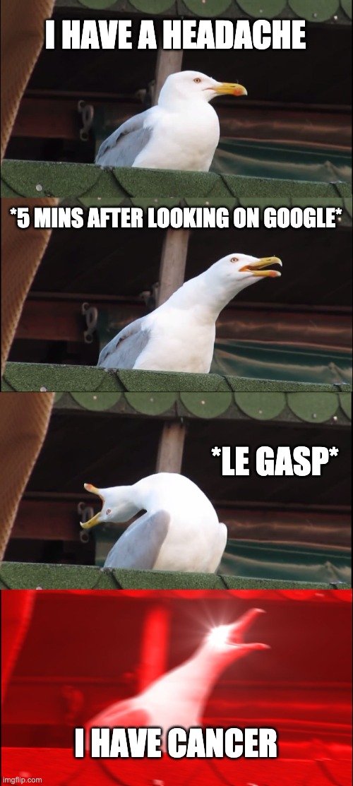 Inhaling Seagull Meme | I HAVE A HEADACHE; *5 MINS AFTER LOOKING ON GOOGLE*; *LE GASP*; I HAVE CANCER | image tagged in memes,inhaling seagull | made w/ Imgflip meme maker