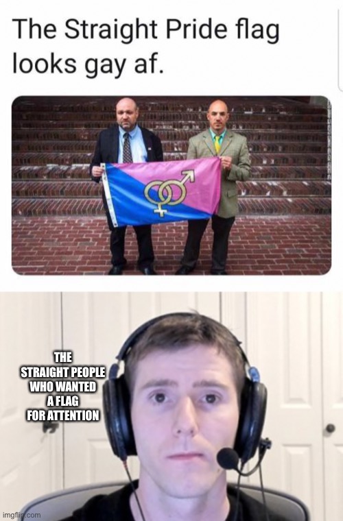 this was stolen from reddit | THE STRAIGHT PEOPLE WHO WANTED A FLAG FOR ATTENTION | made w/ Imgflip meme maker