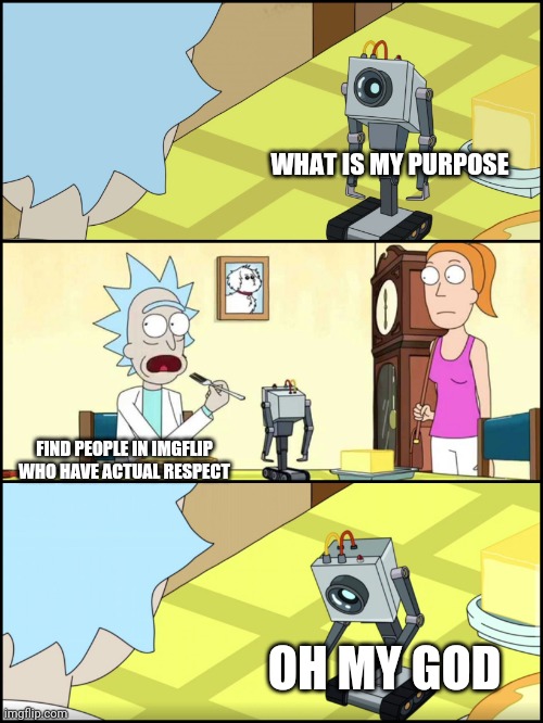 Rick and Morty Butter |  WHAT IS MY PURPOSE; FIND PEOPLE IN IMGFLIP WHO HAVE ACTUAL RESPECT; OH MY GOD | image tagged in rick and morty butter | made w/ Imgflip meme maker