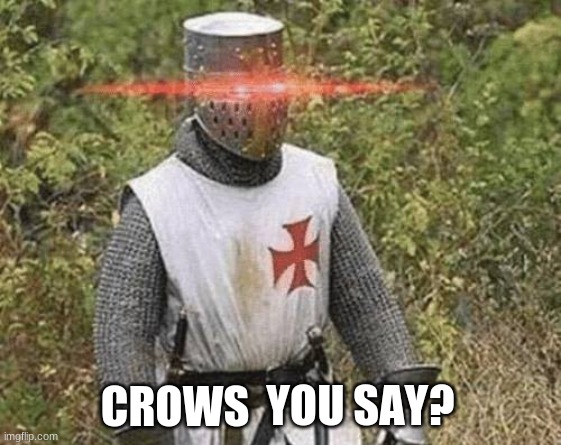 (insert something) you say? | CROWS | image tagged in insert something you say template | made w/ Imgflip meme maker