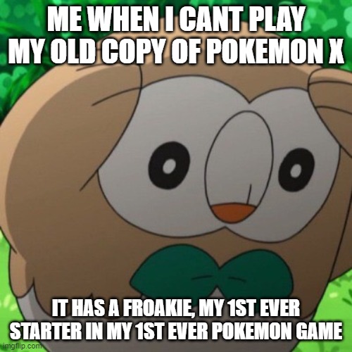 So sad, if i ever get pokemon X again im so picking froakie | ME WHEN I CANT PLAY MY OLD COPY OF POKEMON X; IT HAS A FROAKIE, MY 1ST EVER STARTER IN MY 1ST EVER POKEMON GAME | image tagged in rowlet meme template | made w/ Imgflip meme maker