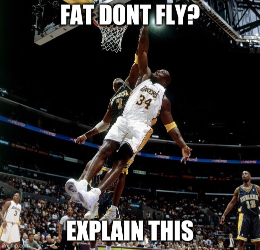 FAT DONT FLY? EXPLAIN THIS | image tagged in big shaq | made w/ Imgflip meme maker