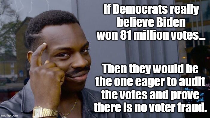 If you cannot see the wind, how do you know it is there? By the rustling of the leaves. | If Democrats really believe Biden won 81 million votes... Then they would be the one eager to audit the votes and prove there is no voter fraud. | image tagged in memes,roll safe think about it,voter fraud,biden,democrats,cheating | made w/ Imgflip meme maker
