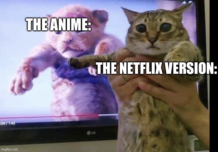 Lion king cat | THE ANIME:; THE NETFLIX VERSION: | image tagged in lion king cat | made w/ Imgflip meme maker