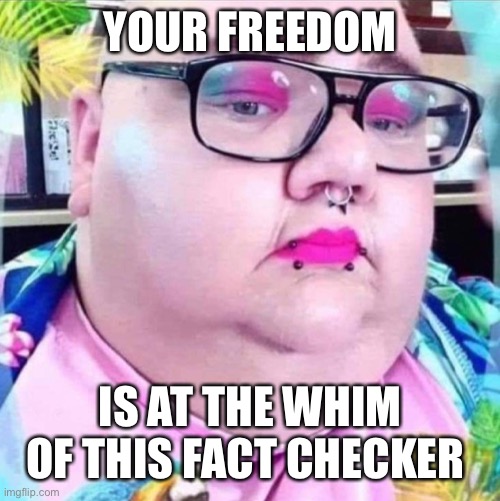 Facebook Fact Checker | YOUR FREEDOM; IS AT THE WHIM OF THIS FACT CHECKER | image tagged in freedom,fact check,liberal,stupid liberals | made w/ Imgflip meme maker