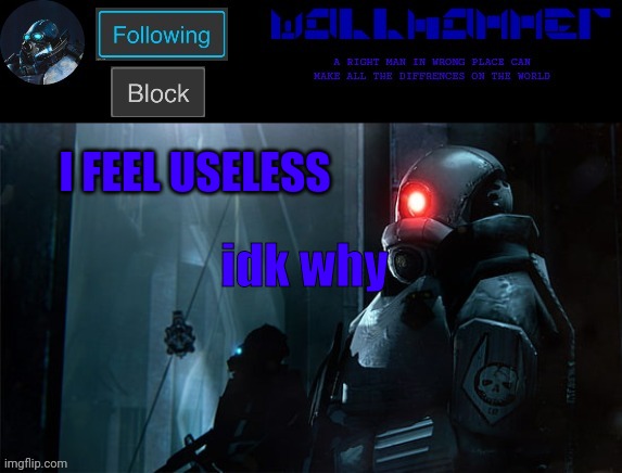 wallhammer | I FEEL USELESS; idk why | image tagged in wallhammer | made w/ Imgflip meme maker