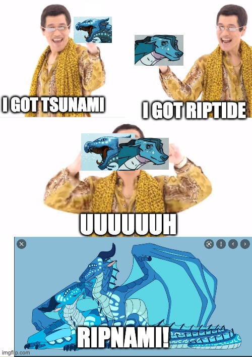 Ripnami | I GOT TSUNAMI; I GOT RIPTIDE; UUUUUUH; RIPNAMI! | image tagged in memes,ppap | made w/ Imgflip meme maker