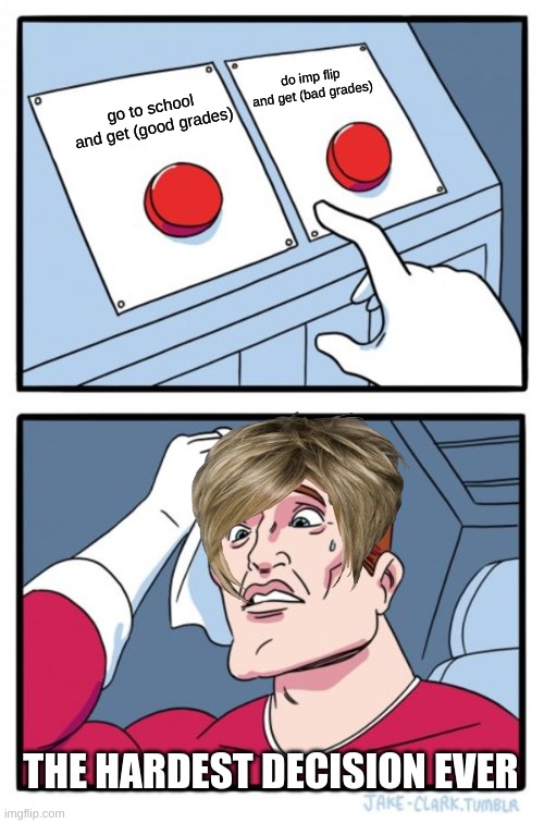 Two Buttons | do imp flip and get (bad grades); go to school and get (good grades); THE HARDEST DECISION EVER | image tagged in memes,two buttons | made w/ Imgflip meme maker