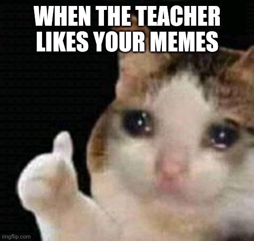 sad thumbs up cat | WHEN THE TEACHER LIKES YOUR MEMES | image tagged in sad thumbs up cat | made w/ Imgflip meme maker