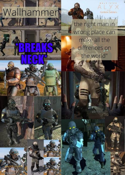 stupid | *BREAKS NECK* | image tagged in wallhammer | made w/ Imgflip meme maker