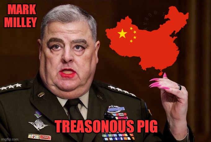 Mark Milley | MARK MILLEY; TREASONOUS PIG | image tagged in mark milley | made w/ Imgflip meme maker