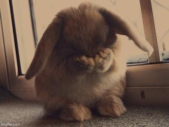 Sad Bunny | image tagged in sad bunny | made w/ Imgflip meme maker